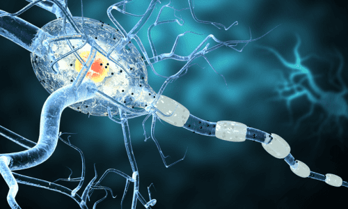 Multiple Sclerosis (MS) Treatment in Jackson, MS Multiple Sclerosis (MS) Treatment in Jackson, MS